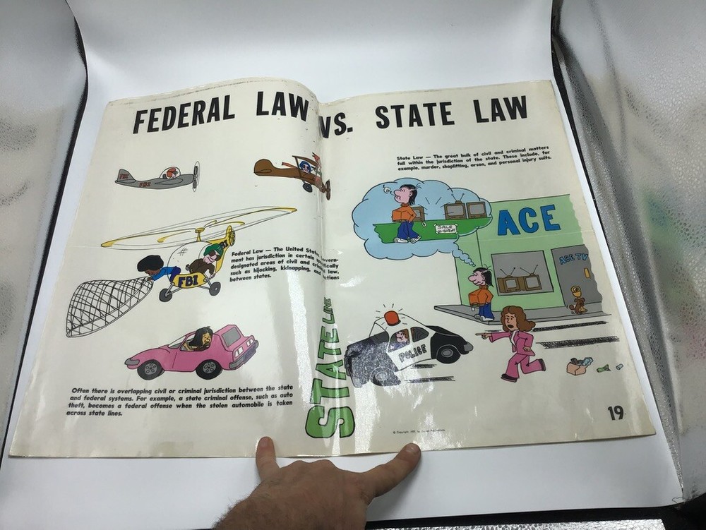 Original LAW Poster 1977 justice publications — FEDERAL LAW VS. STATE LAW —