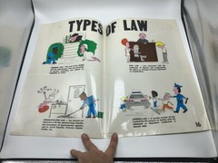 Original LAW Poster 1977 justice publications — TYPES OF LAW —