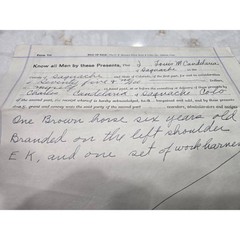 Vintage Antique Horse Bill of Sale 1938 Denver Colorado Paper 75 Dollars